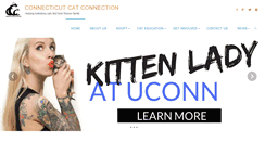 Desktop Screenshot of ctcatconnection.org