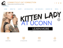 Tablet Screenshot of ctcatconnection.org